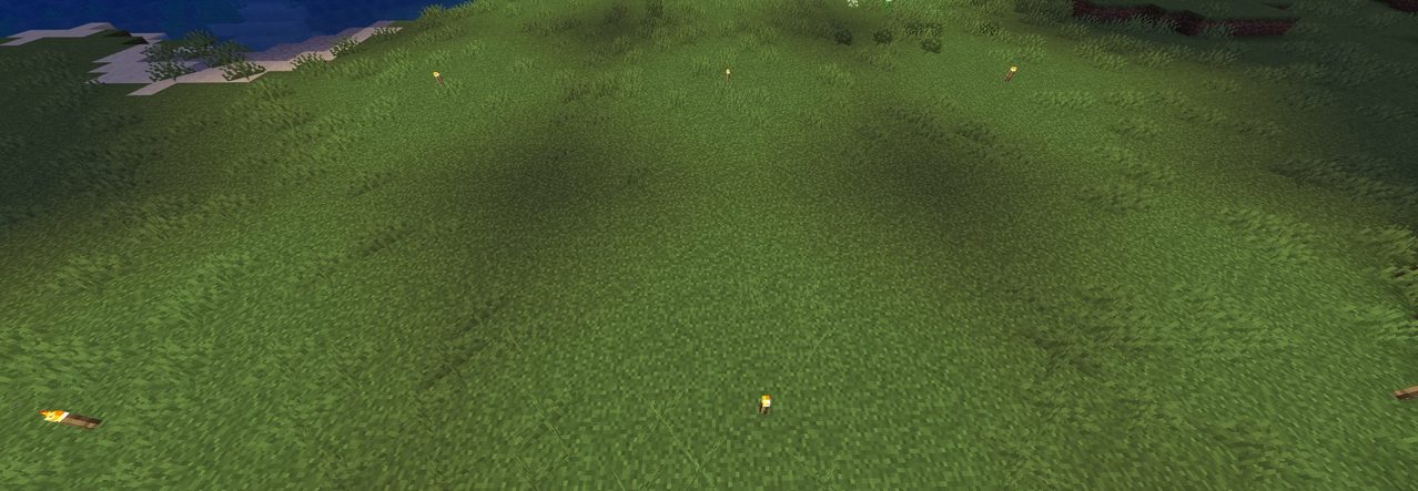 マイクラのたいまつを12マスおきに置いて湧き潰しした様子