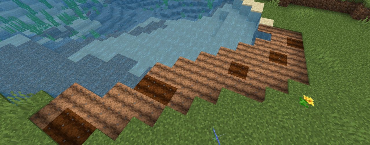 マイクラの川や池のそばに作った畑