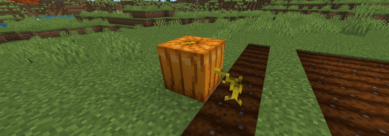 マイクラのカボチャとスイカの畑