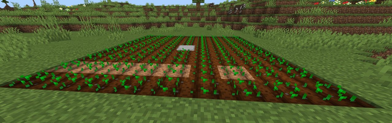マイクラの畑の作物の育ち具合
