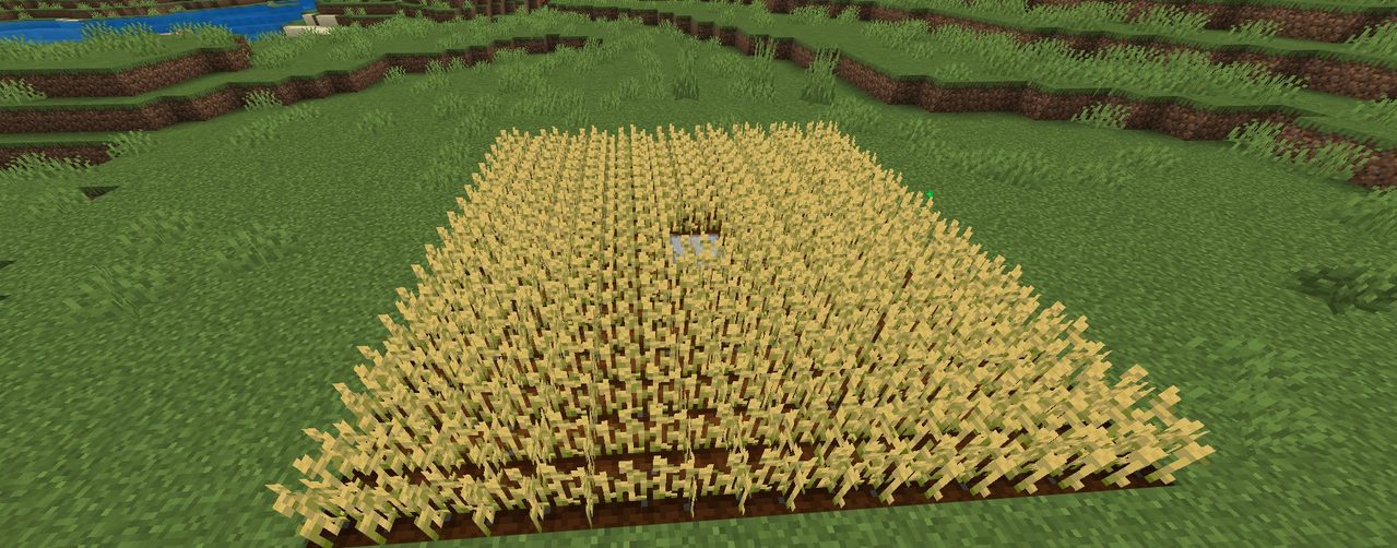 マイクラ畑の作り方