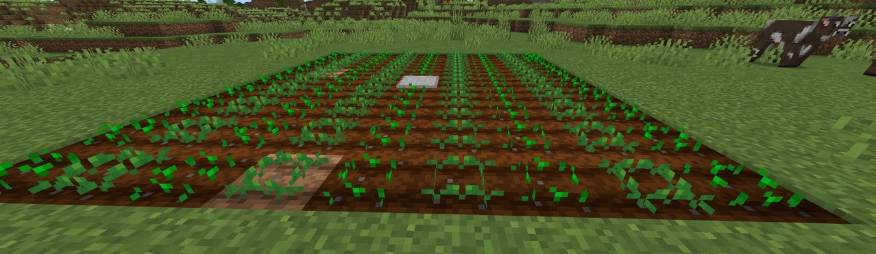 マイクラの畑で1列おきに植えた作物