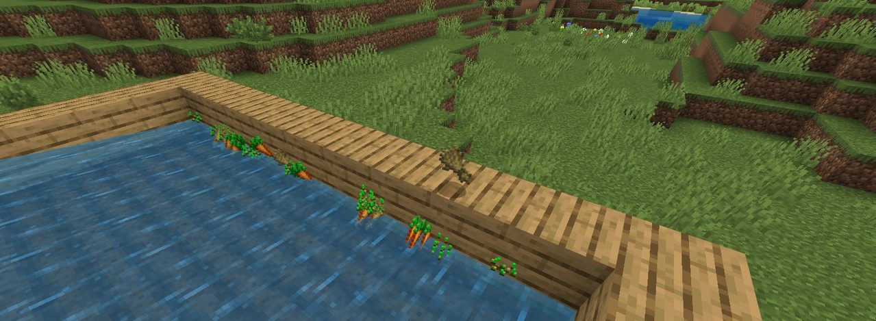 マイクラの畑に水を流して収穫する様子
